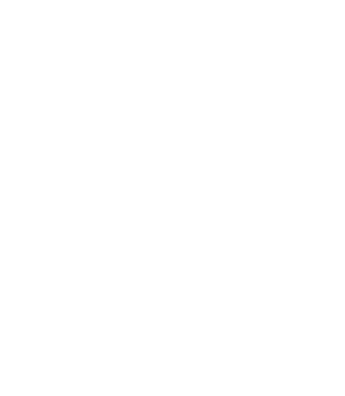 Test Rápidos